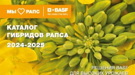 Каталог гибридов рапса 2024-2025