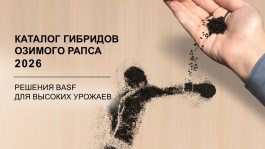 Каталог гибридов озимого рапса 2026